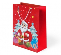 Toptan Noel Baba Baskılı Karton Çanta Küçük Boy 25x30x9 cm 10 adet